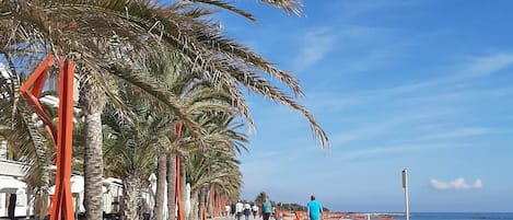 Strand