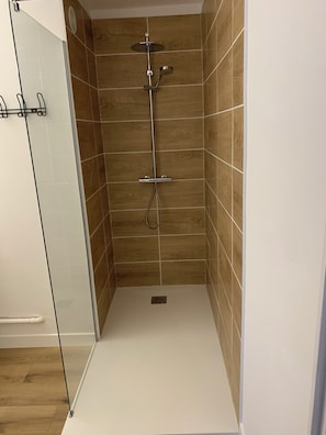 Regadera, secadora de cabello, papel de baño 
