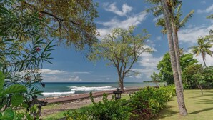 Une vue sur la côte, avec une plage, des palmiers et un ciel dégagé.