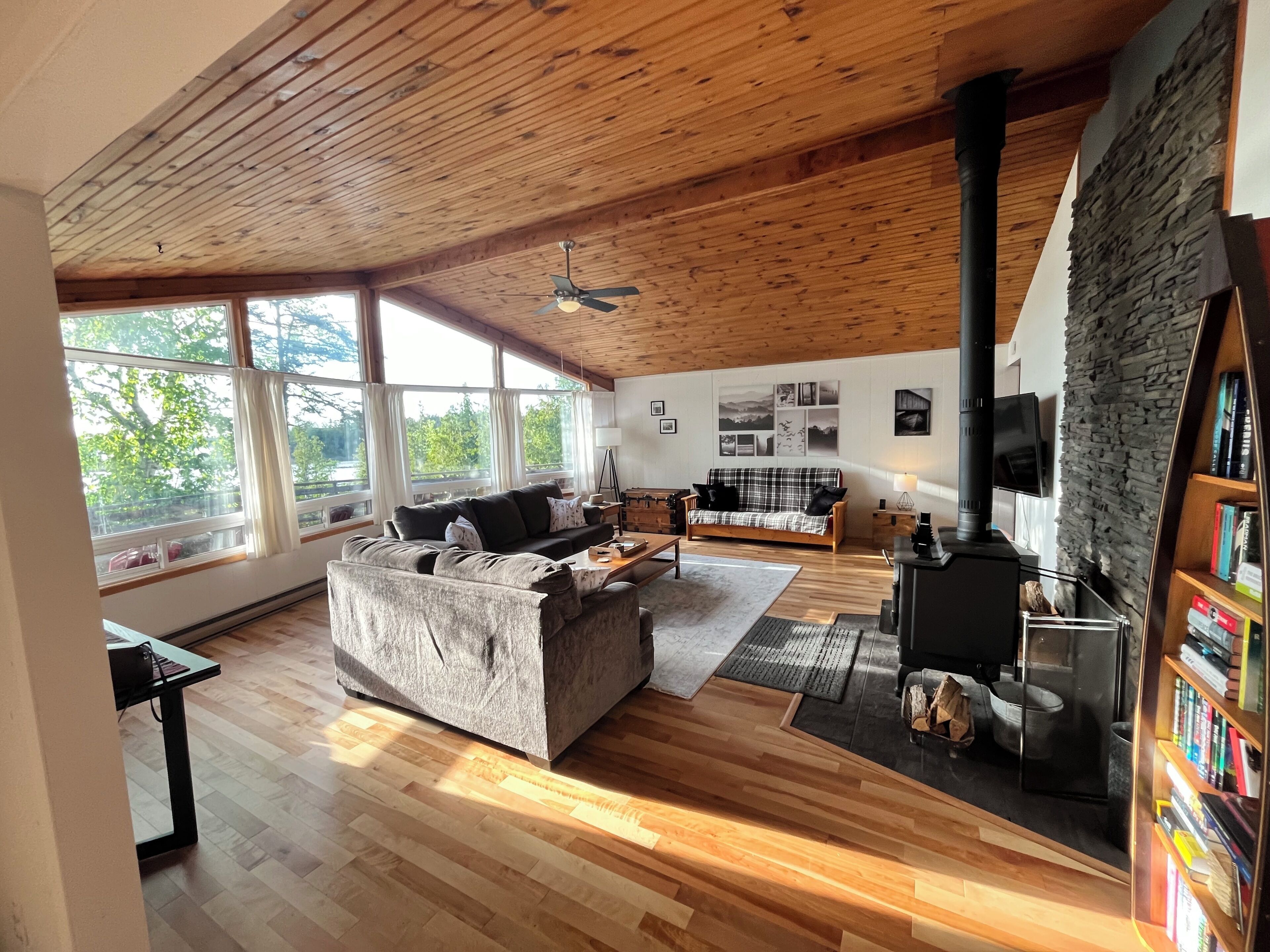 Télévision, cheminée, lecteur de DVD