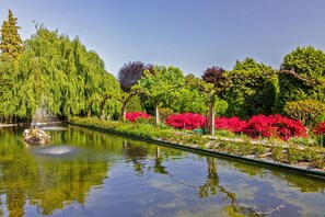 Property grounds - Villa Tagini 10 minutes from Stresa (Brovello-Carpugnino)