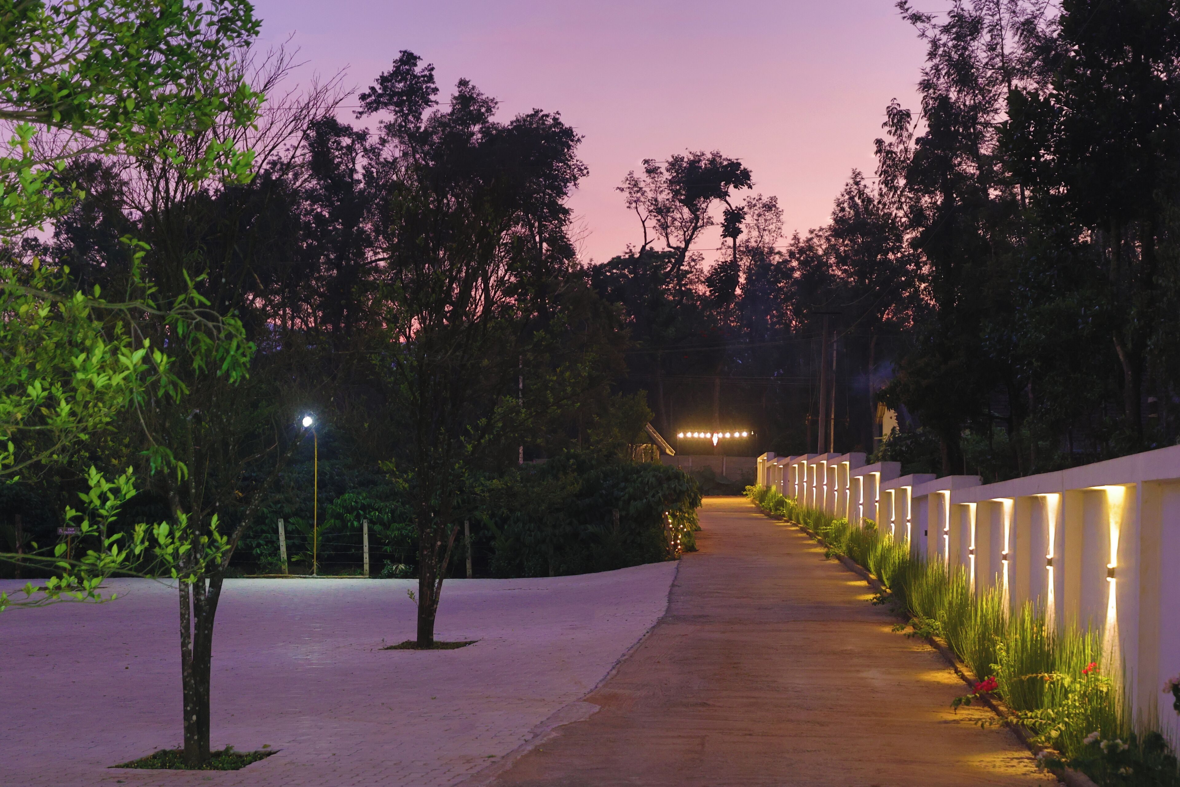 Un sendero bordeado de árboles e iluminado por luces, que conduce a un edificio.