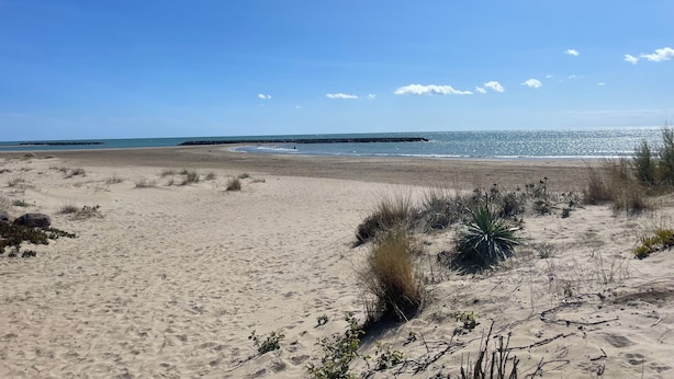 Une plage de sable avec une végétation clairsemée et un ciel dégagé.