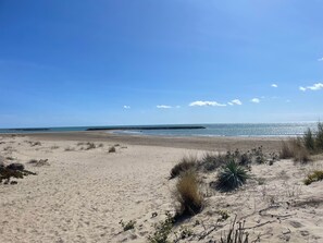 En sandstrand med sparsom vegetation og en klar himmel.
