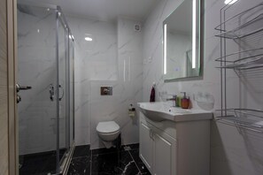 Shower, towels, toilet paper