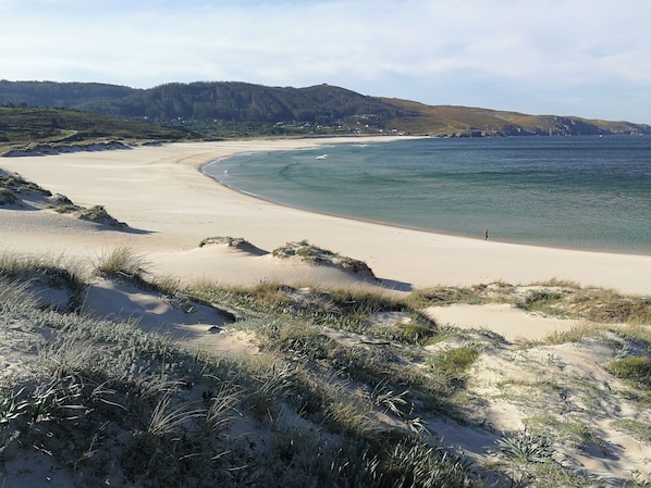 Eine Küstenlandschaft mit Sandstrand, grasbewachsenen Dünen und freiem Blick auf das Meer.