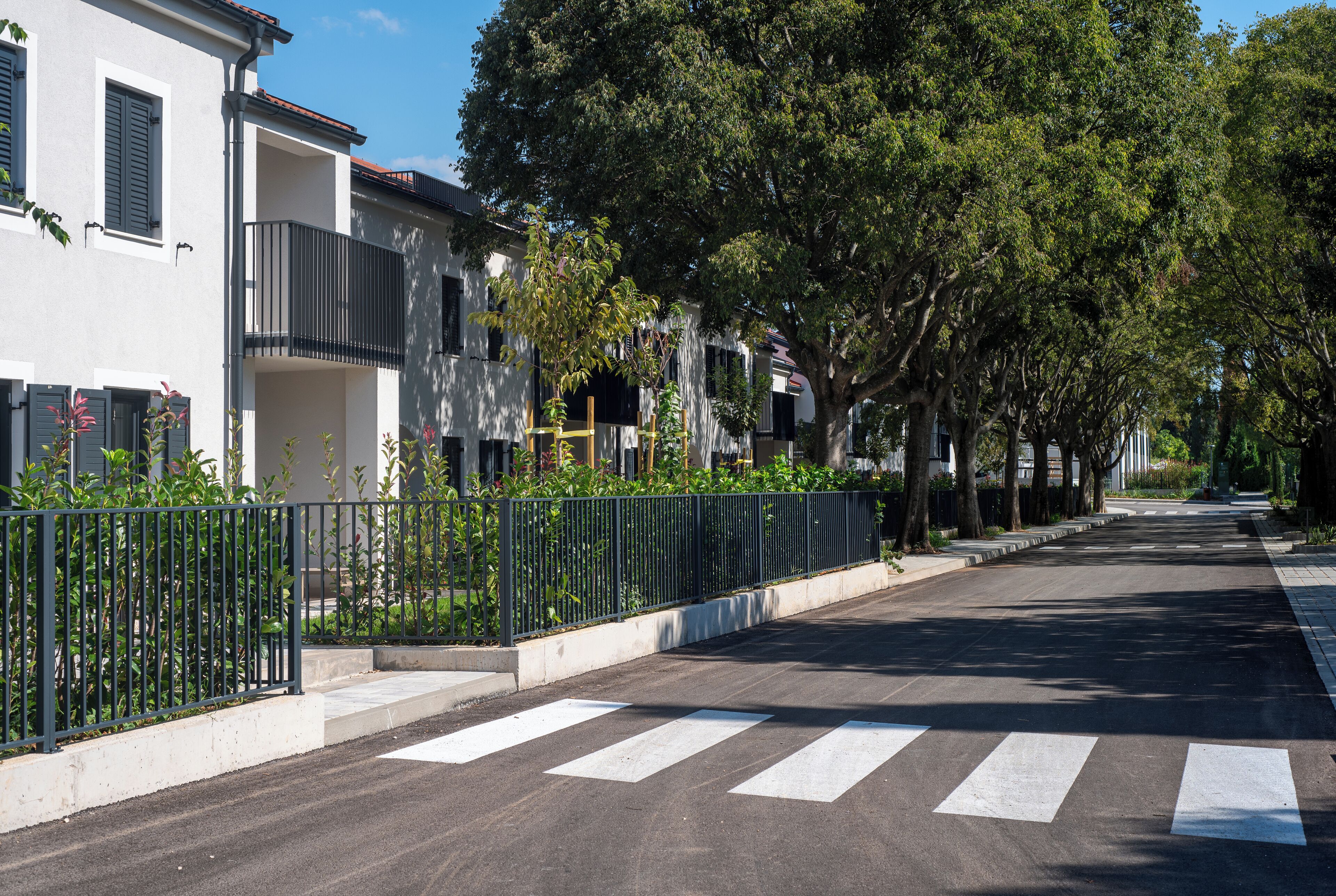 A quiet residential street lined with white buildings, a pedestrian crossing, and a black metal fence.