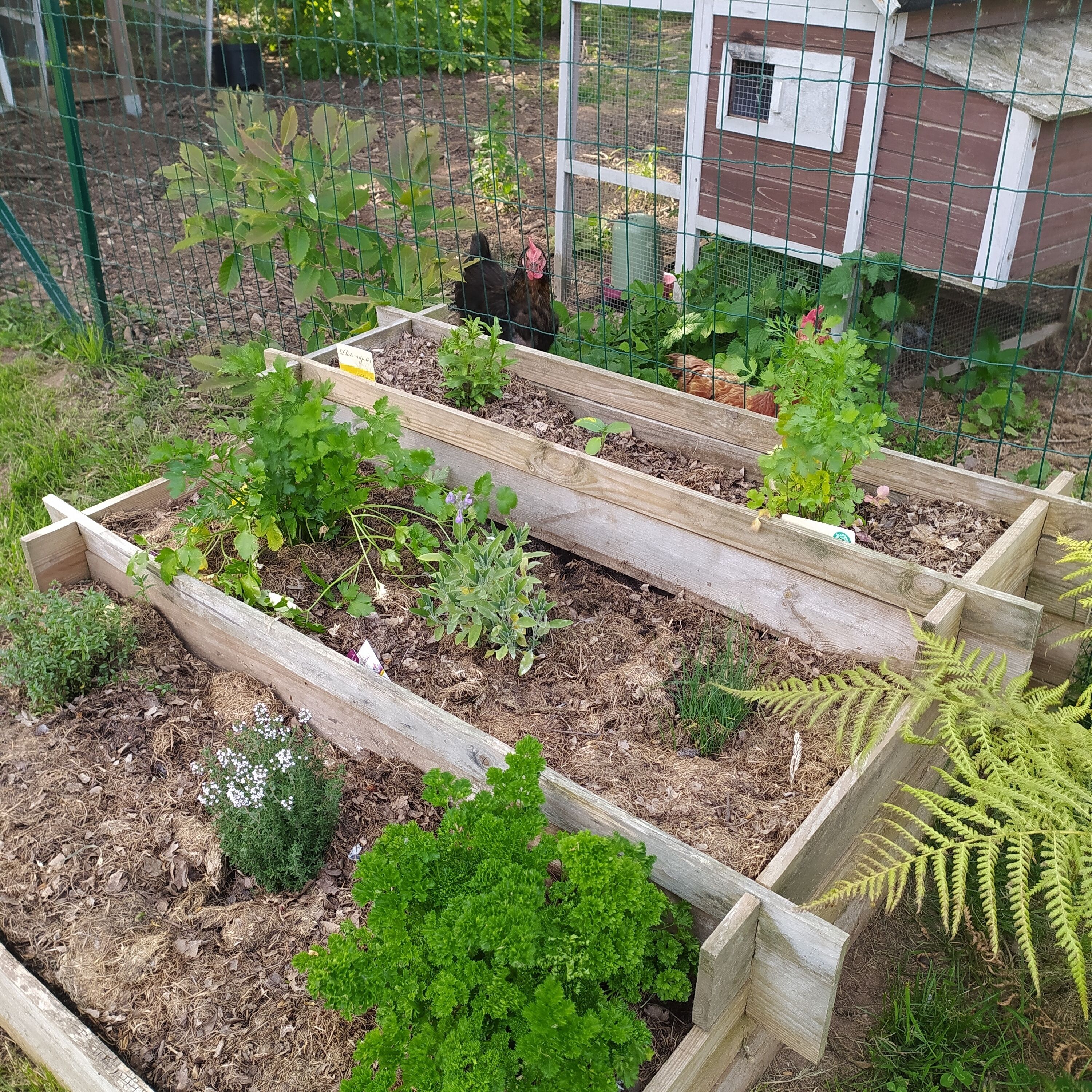 Enceinte de l’hébergement