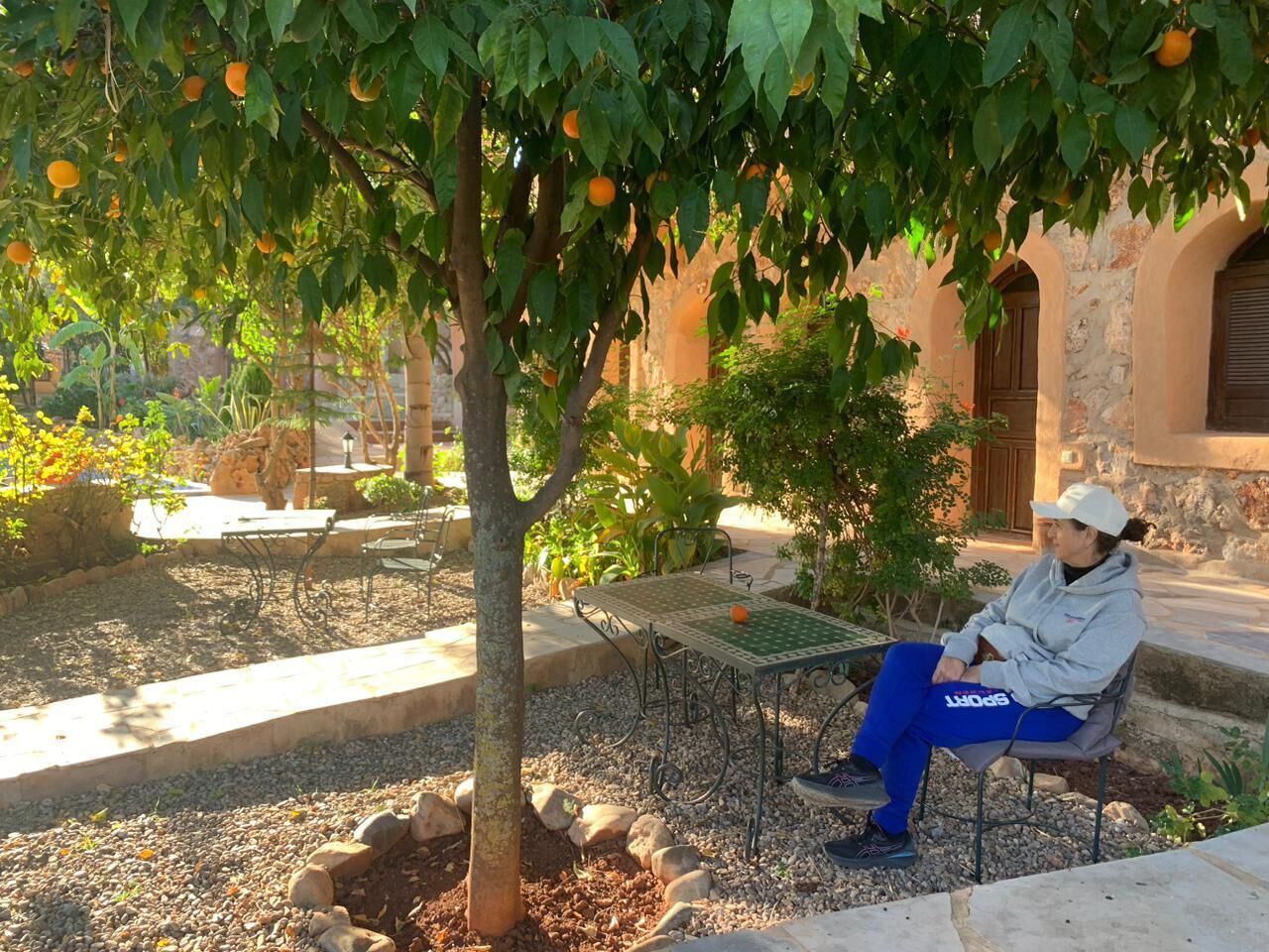 Una persona sentada en un banco bajo un árbol con naranjas, en un espacio al aire libre con un edificio de piedra al fondo.