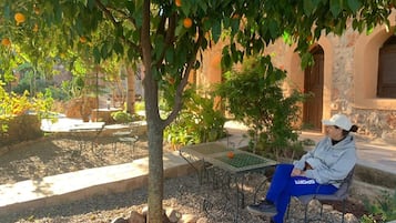 Una persona sentada en un banco bajo un árbol con naranjas, en un espacio al aire libre con un edificio de piedra al fondo.