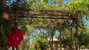 A stone-paved courtyard with a pergola covered in climbing plants. - Azzaouia Resort & development (Bouchfaa)