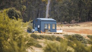 A small, modern cabin with a flat roof, surrounded by a forest. - Tiny Matilda Summary: (Bridgetown)