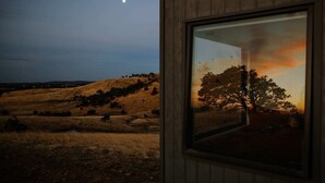 A view of a rural landscape with a hill, a tree, and a moon in the sky. - Tiny Pip Summary:<br>Tin (Tooborac)