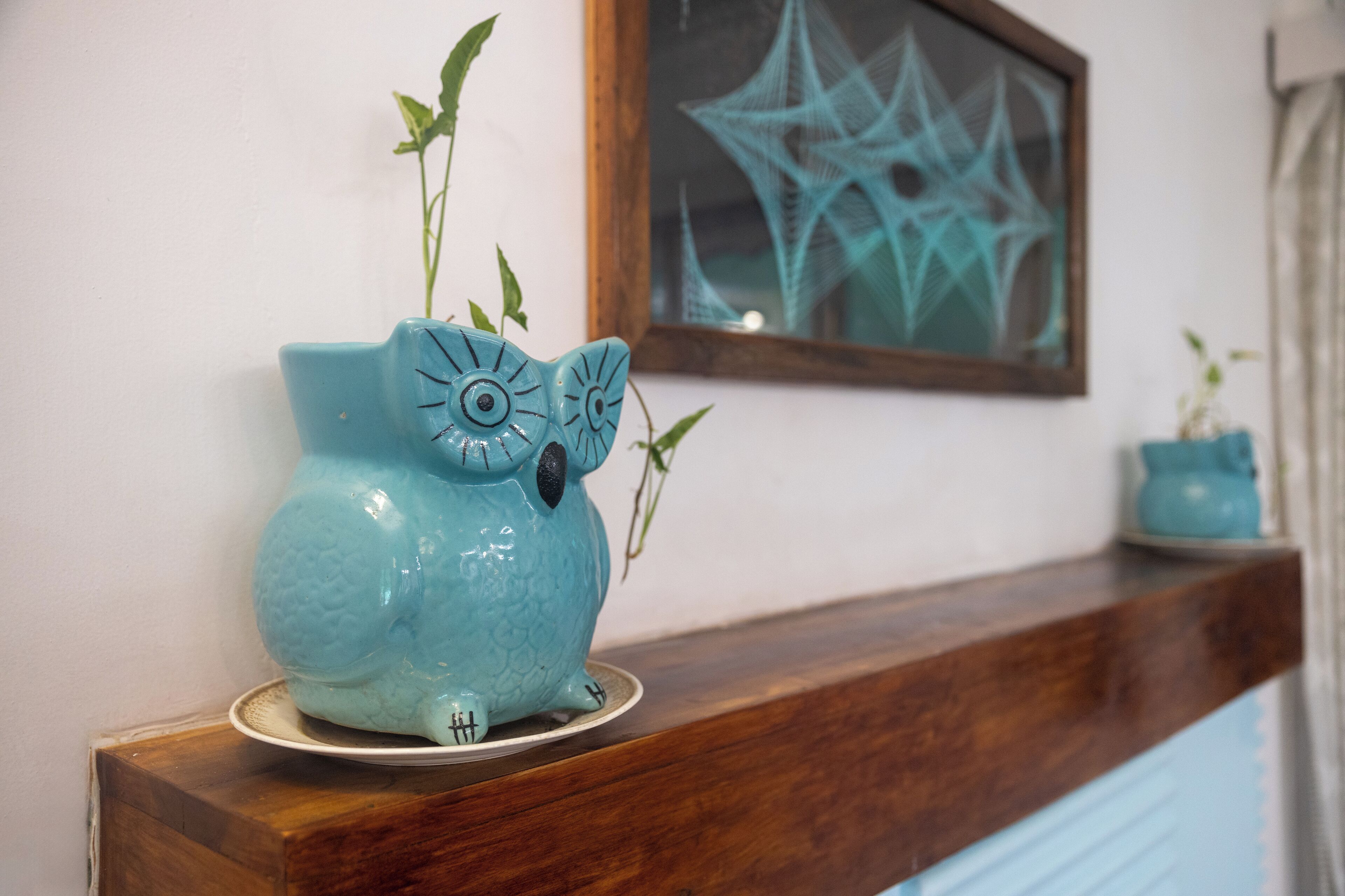 Una maceta azul en forma de búho de cerámica con una planta sobre un estante de madera.