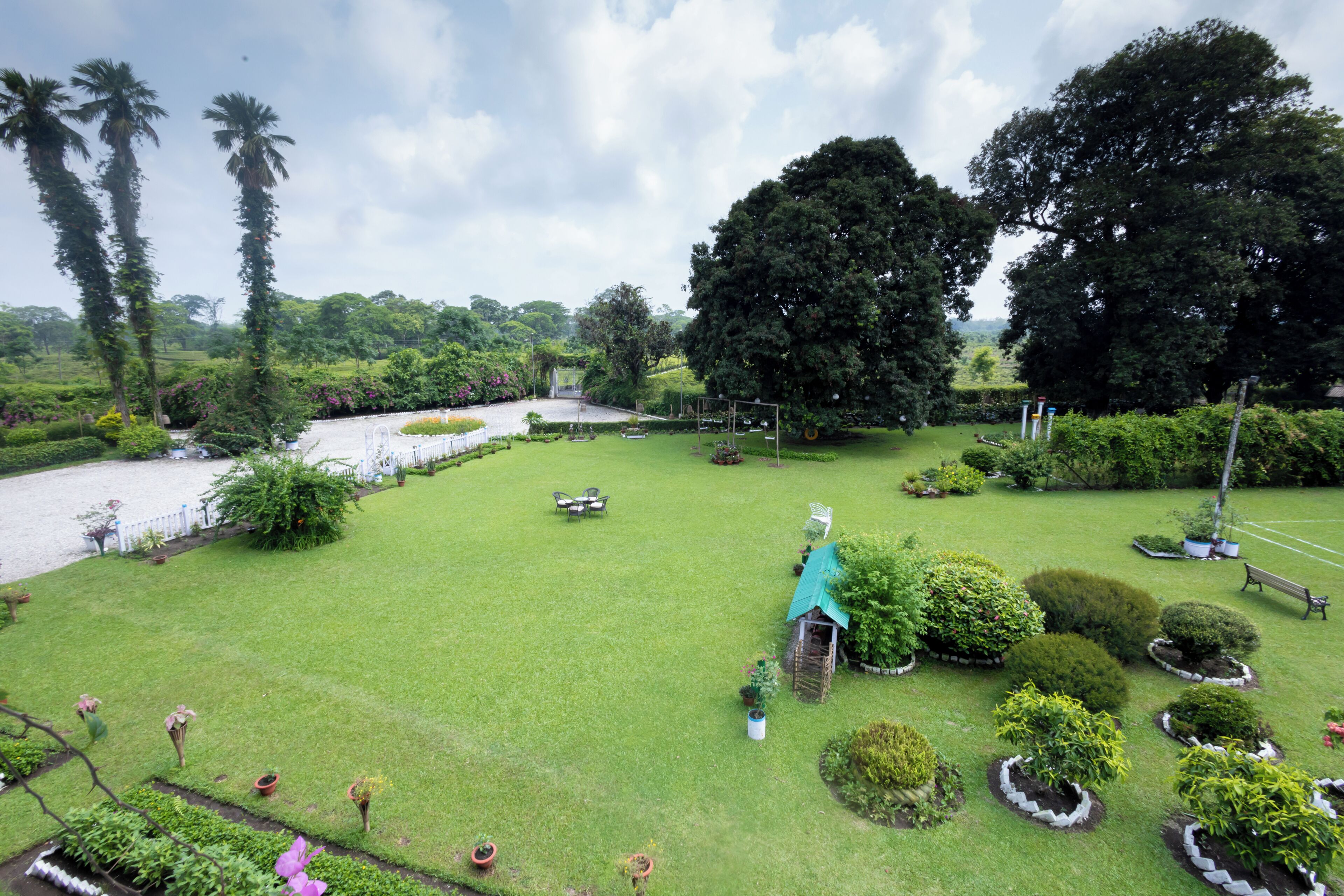 A well-maintained garden with various plants and a small gazebo.