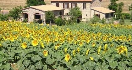 Hospitality in Tuscany