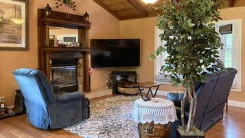 Televisión, chimenea y reproductor de DVD