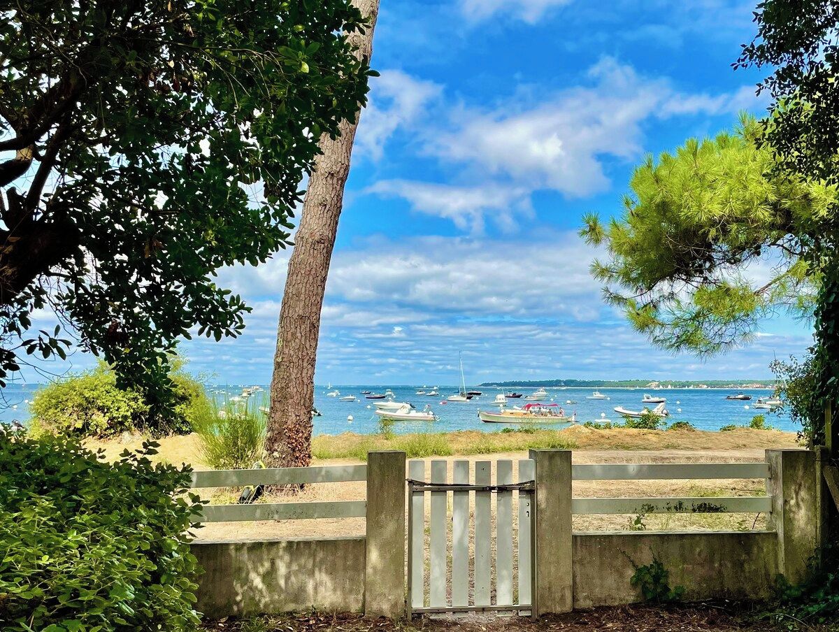 Une vue sur la côte, avec des bateaux, des arbres et un banc.