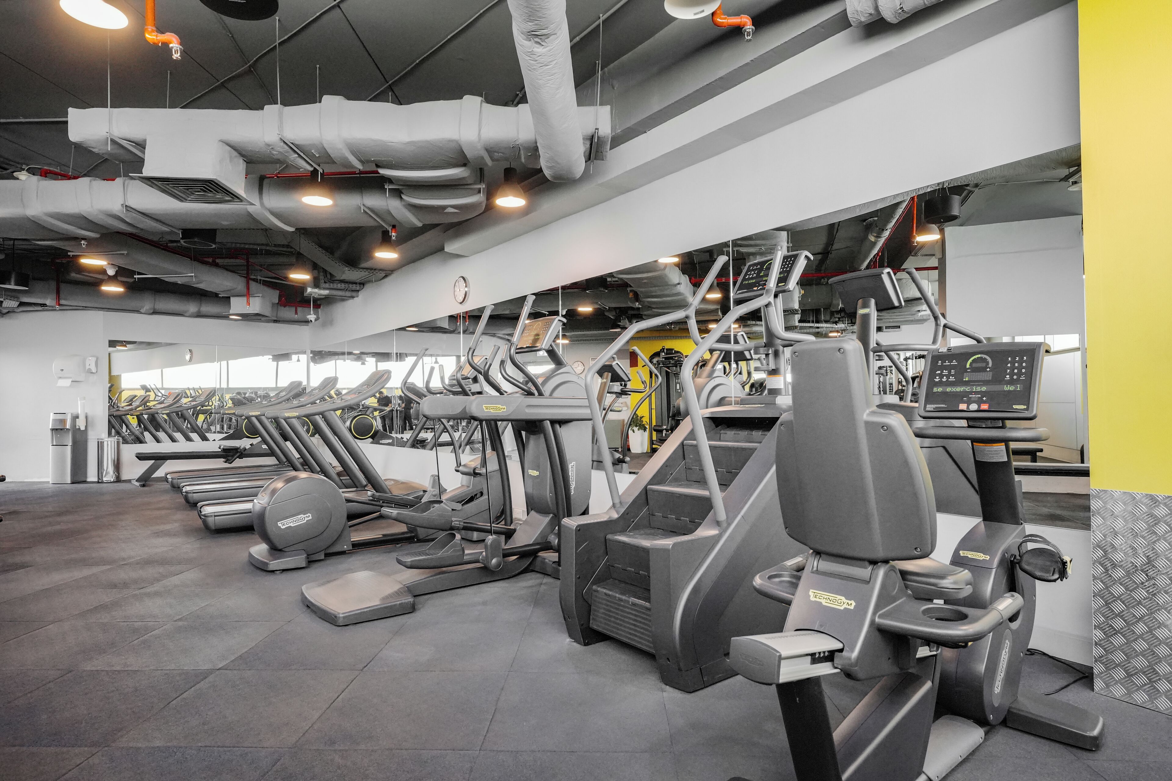 Un gimnasio con diversas máquinas de cardio, incluyendo cintas de correr y elípticas, dispuestas en filas.