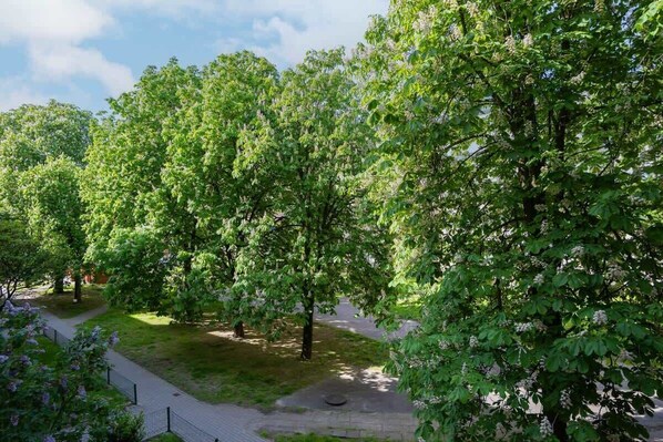 Stroll through a serene park setting along a well-maintained pathway.