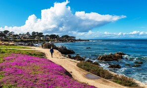 Un sentier côtier bordé de fleurs violettes, avec une côte rocheuse et une personne qui marche.