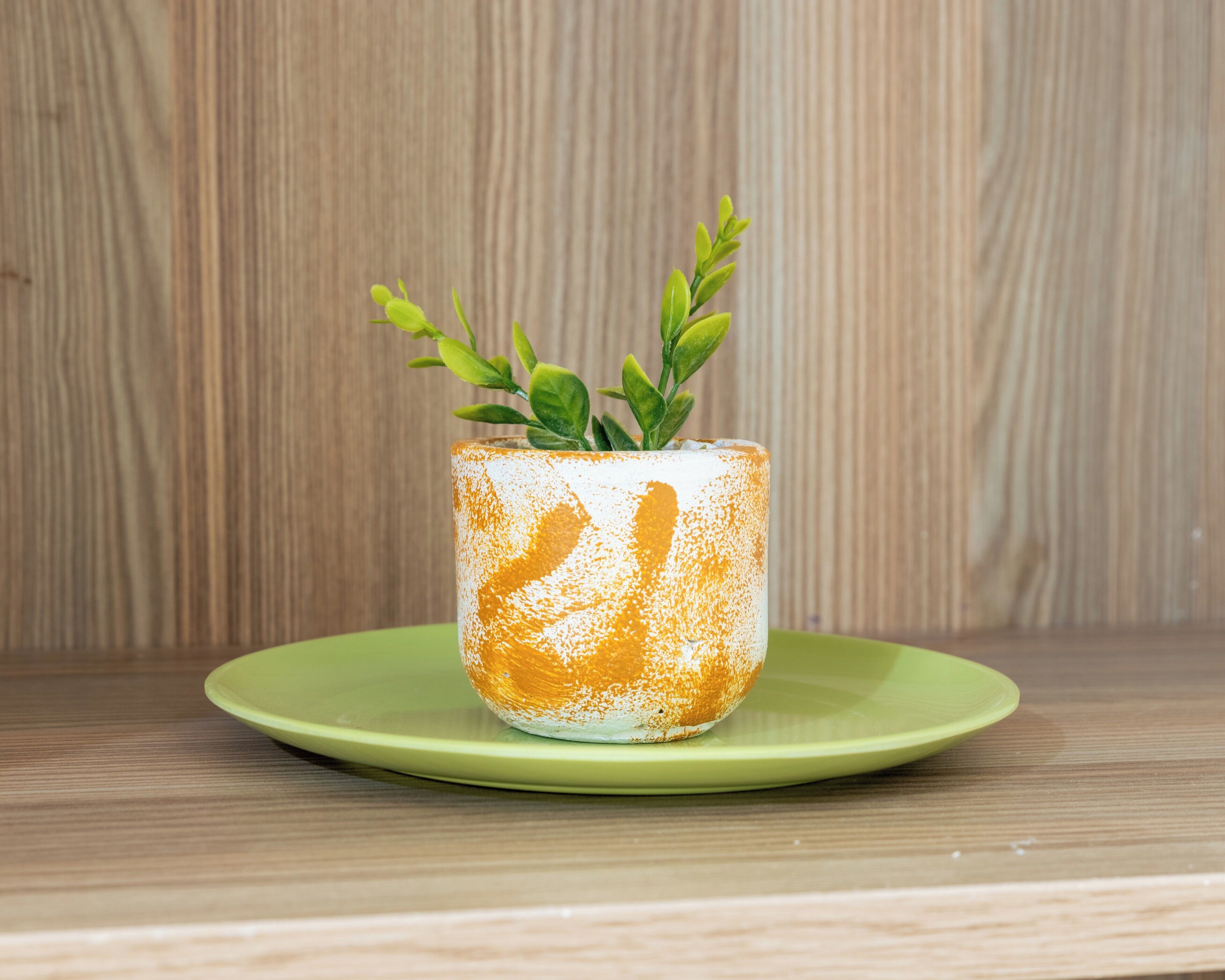 A potted plant with green leaves on a green plate, placed on a wooden surface.