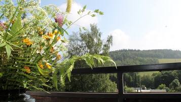 Quarto casal standard, sacada | Sacada