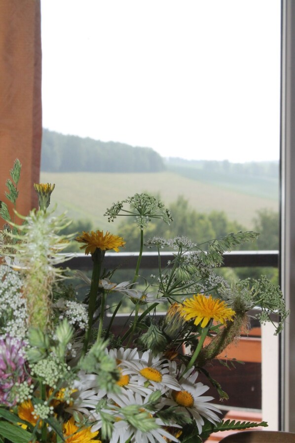View from room - Hotel Carolaruh (Bad Elster)