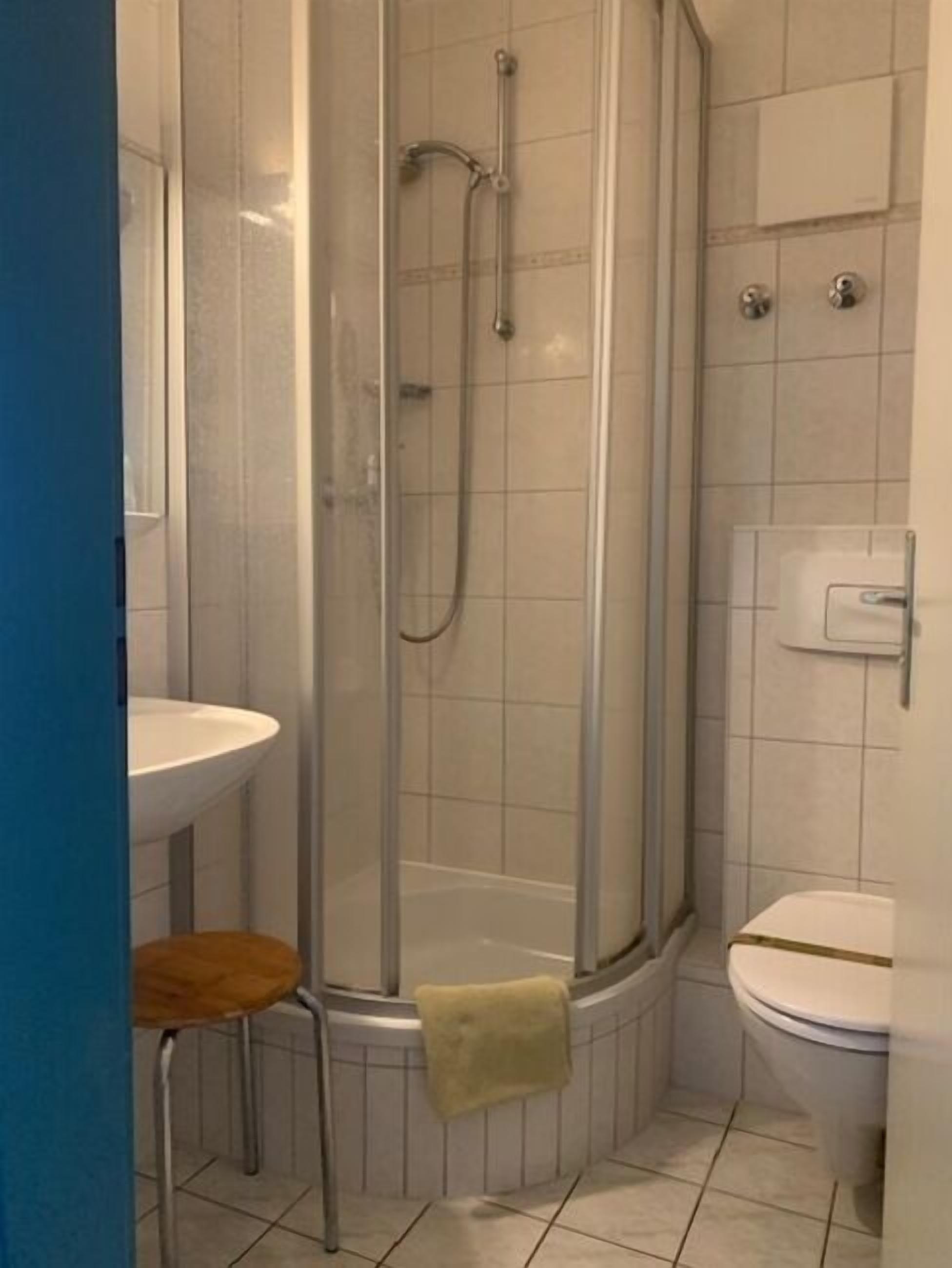 A bathroom with a shower enclosure, a sink, and a toilet.
