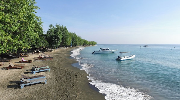 ใกล้ชายหาด