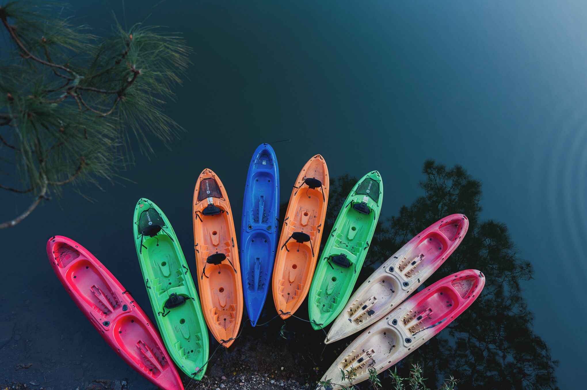 A row of kayaks lined up on a dock.