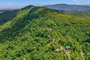 Unclassified image, 5 of 62, button