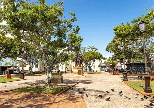 Explore our beautiful town of Dorado, Puerto Rico