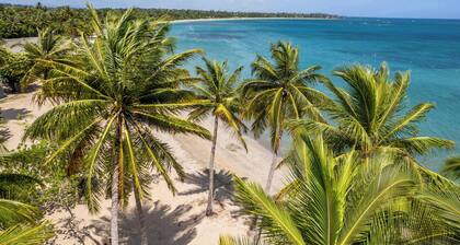 AQUA Terrazas 5 · Oceanfront, Pool & Local Dining