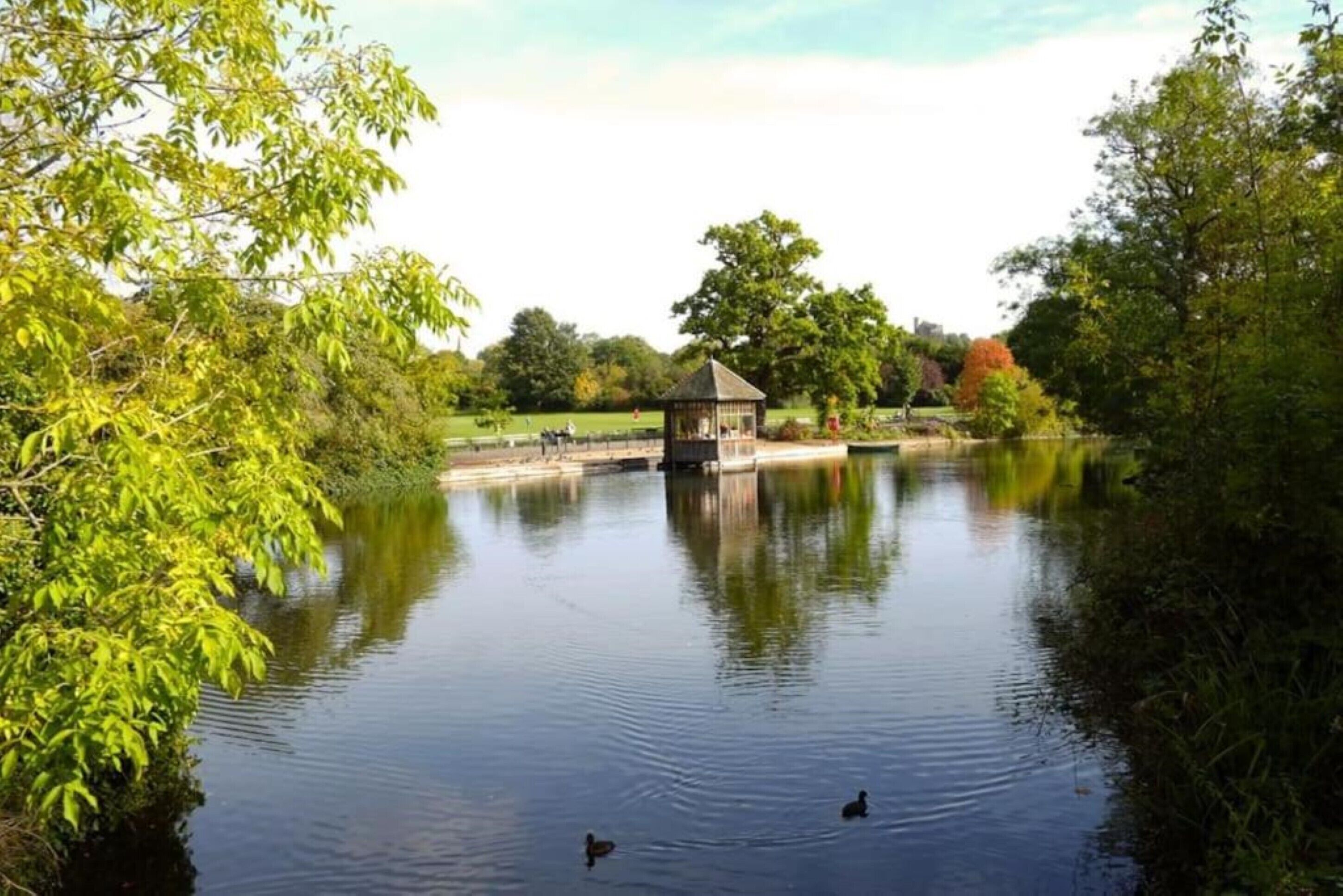 A tranquil pond with a gazebo in the center, surrounded by lush greenery and trees.