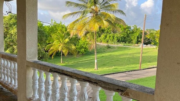 A balcony with white balustrades overlooking a grassy area with palm trees and a clear sky. - Beautiful 2-bed House in St George (Workmans)