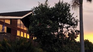 Una casa moderna con fachada de madera y amplios ventanales, rodeada de abundante vegetación y una palmera.