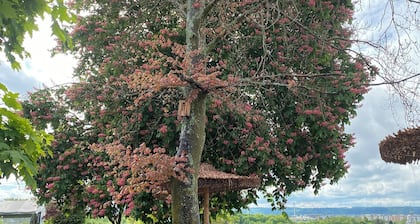 Gemütliche Ferienwohnung im Familiengeführten Gasthaus Wollscheid