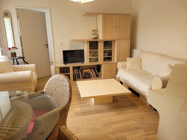 TV, books, printers - Appartement 2 Pièces à 2 pas de Paris à Ivry sur Seine (Ivry-sur-Seine)