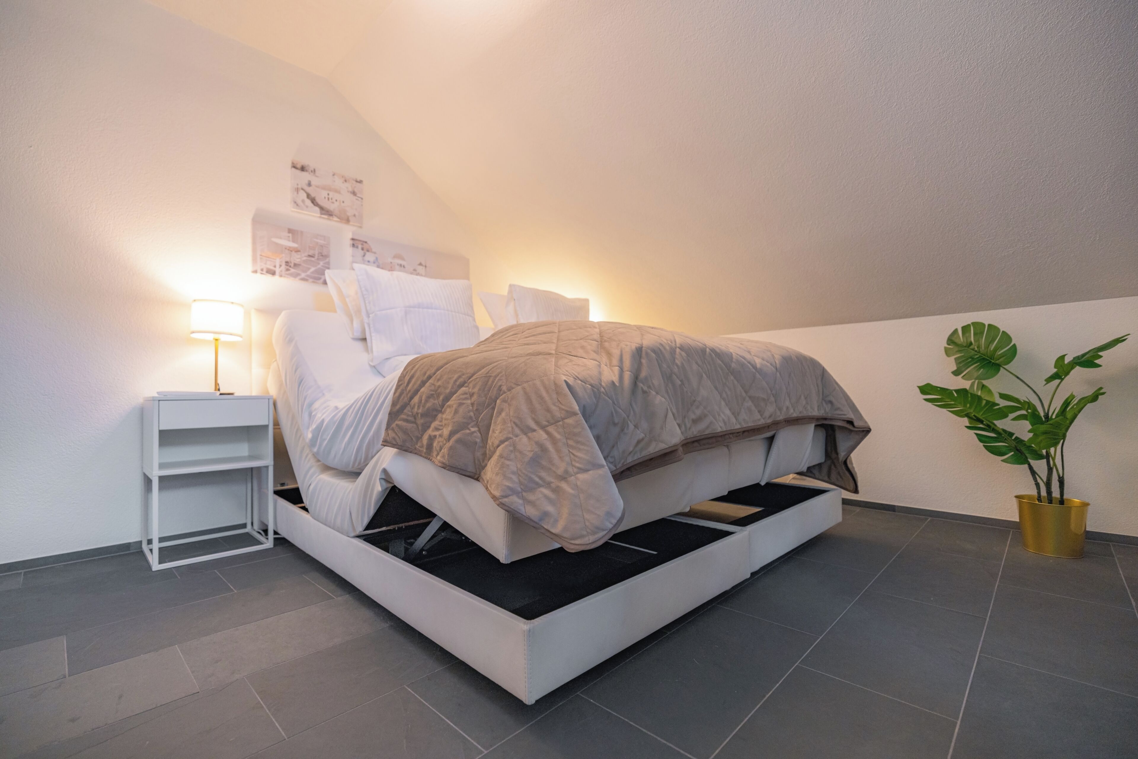 A modern bedroom with a bed, bedside table, and a potted plant.