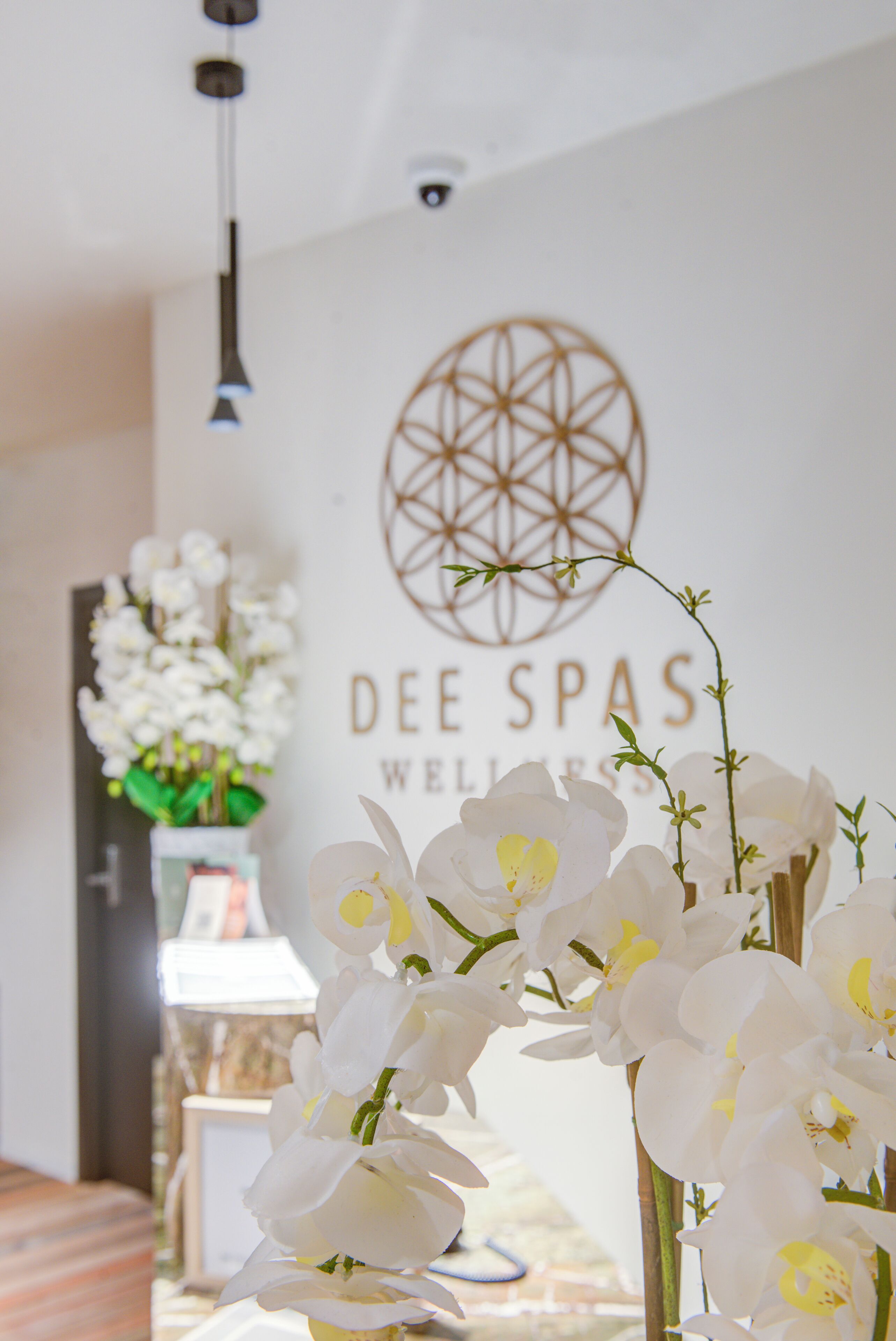 Een kamer met een aan de muur bevestigd bord waarop 'DEE SPAS WELLNESS' staat, en een decoratief geometrisch ontwerp. Op de voorgrond staat een vaas met witte orchideeën.