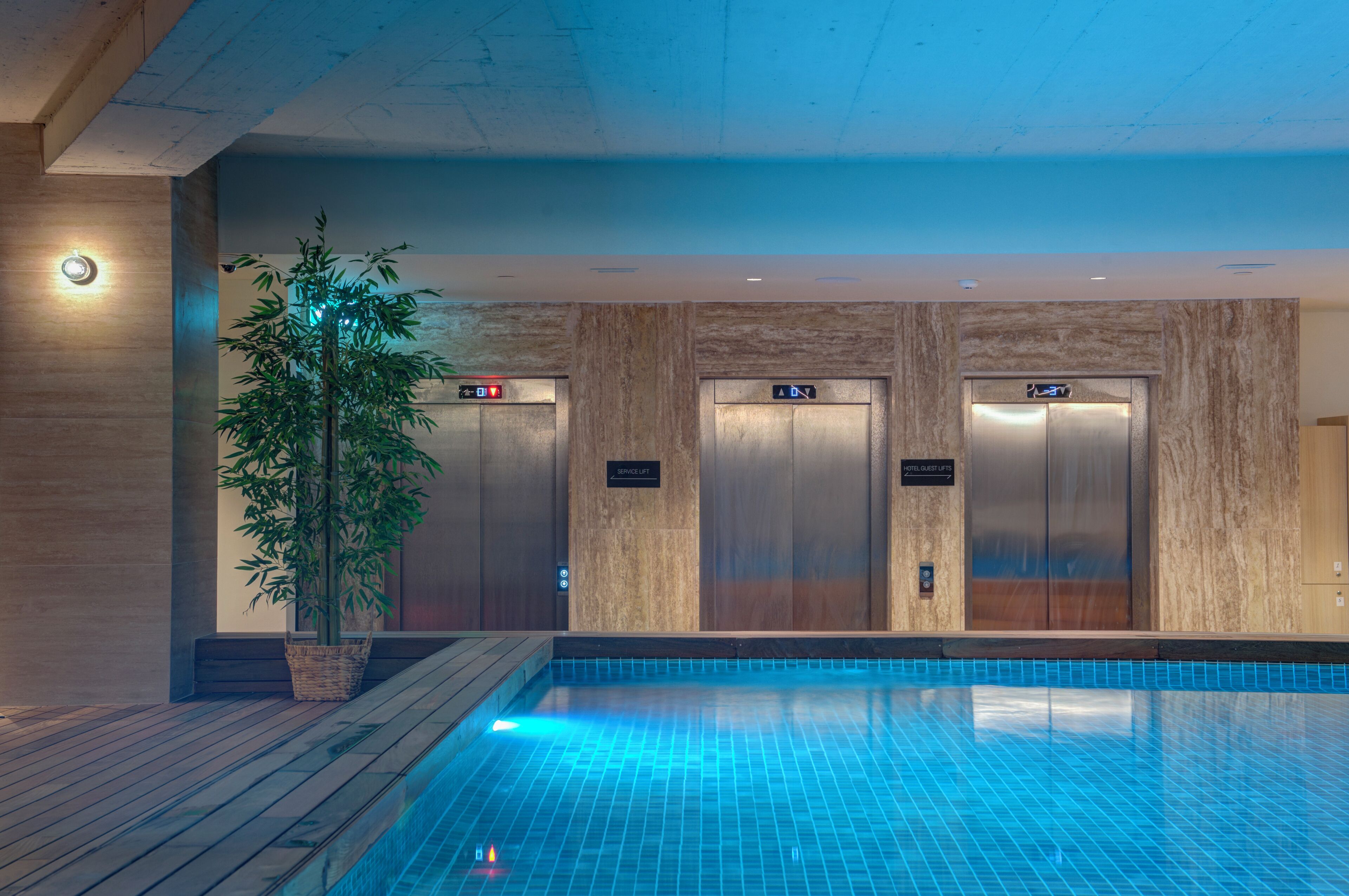 Una piscina interior con un deck de madera y una planta en maceta.