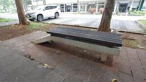 Eine Bank mit hoher Rückenlehne, auf einem gepflasterten Weg, mit Bäumen und einem Gebäude im Hintergrund.