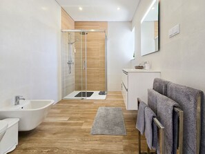 Shower, hair dryer, bidet, towels