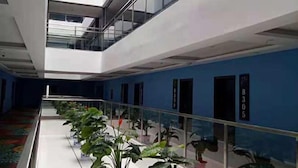 Pasillo de hotel con barandilla de vidrio, plantas en macetas y pared azul con números de habitaciones.