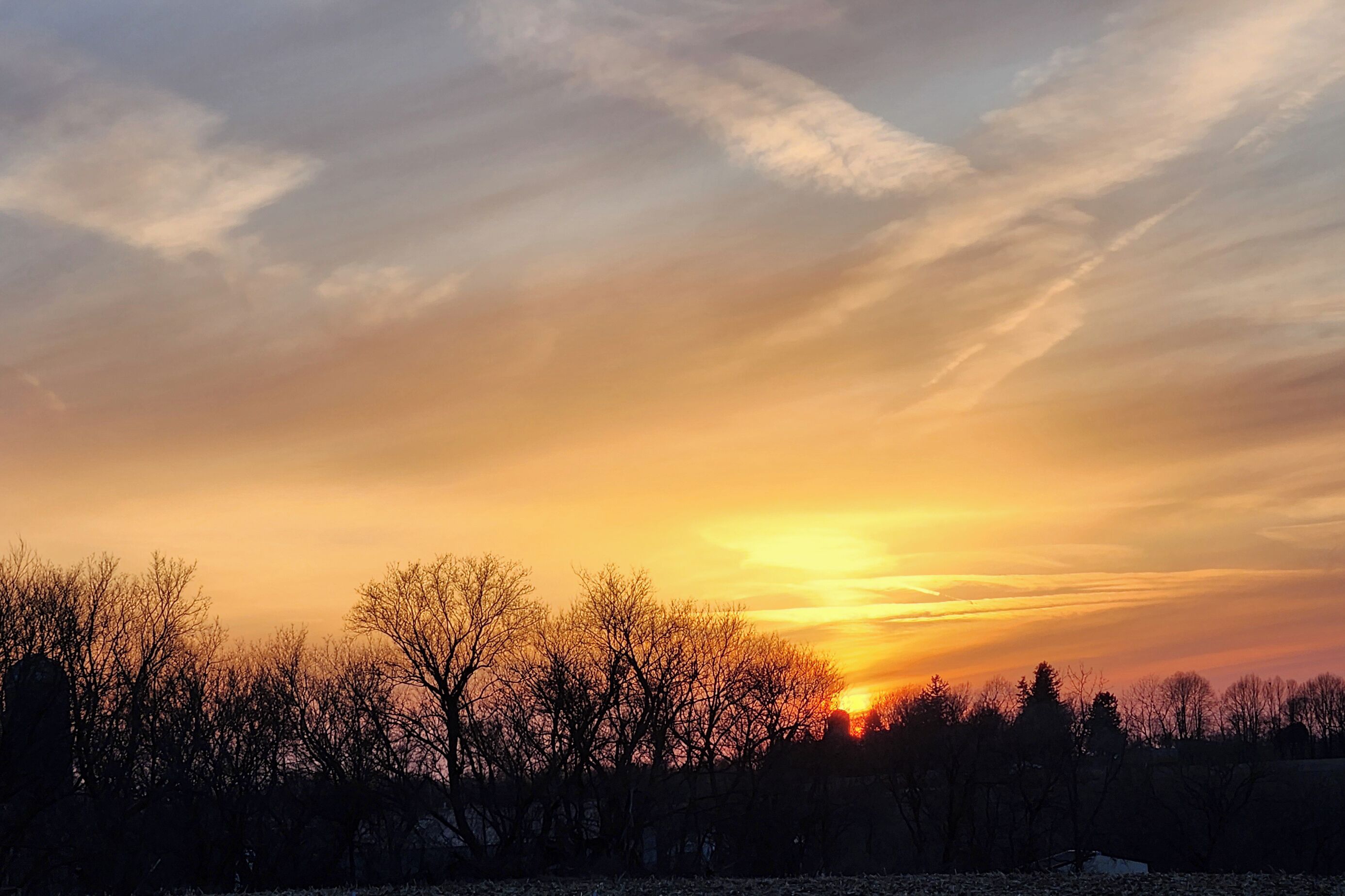 A sunset over a forested landscape with bare trees silhouetted against the sky.