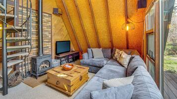 TV, fireplace, books