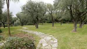 A stone pathway winding through a grassy area with olive trees. - Modern Villa with Pool and Breathtaking Views on the Enchanting Amalfi Coast! (Amalfi)