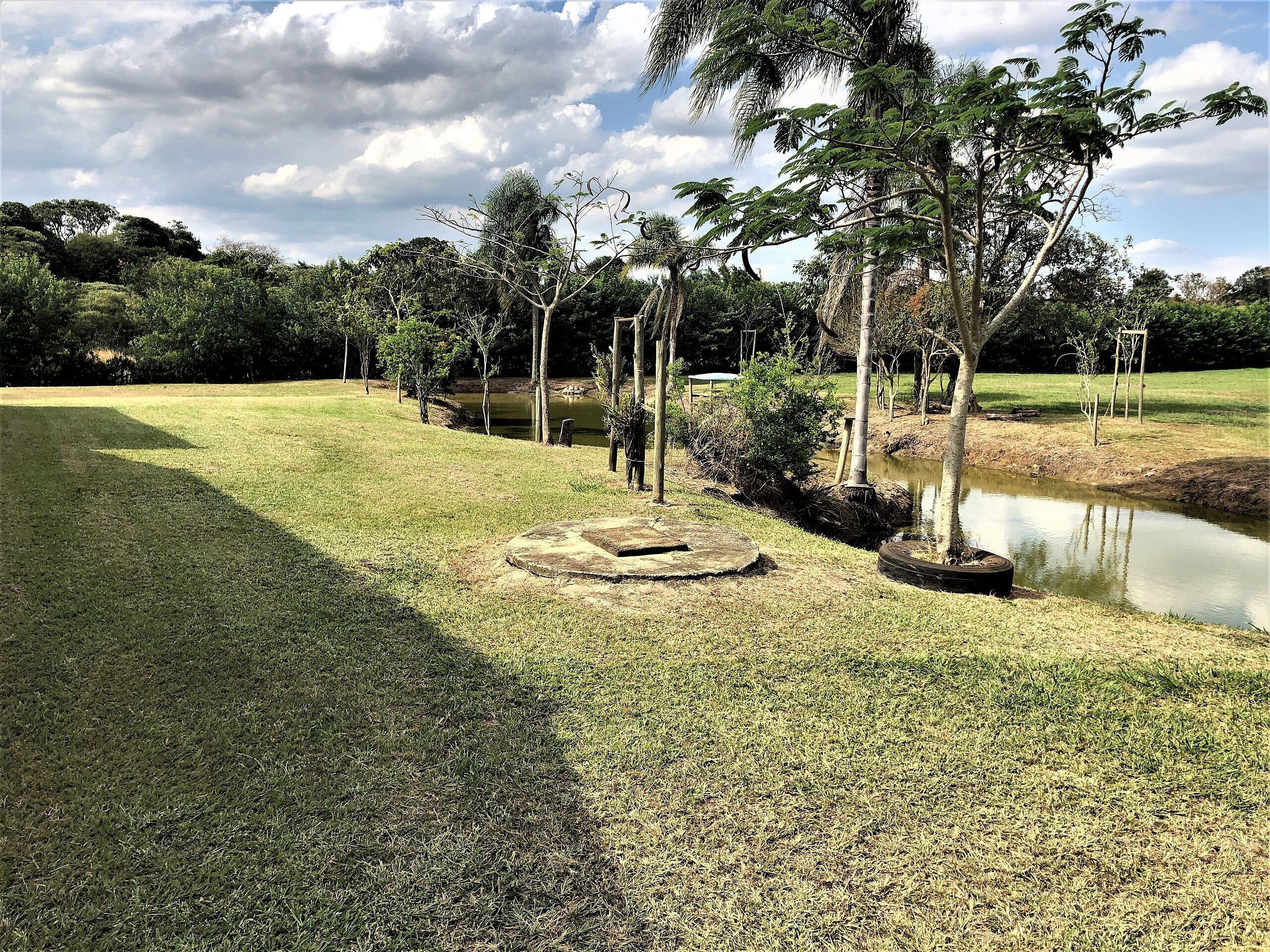 A grassy area with a pond, trees, and a clear sky.