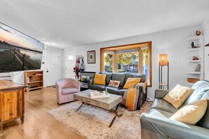 Smart TV, fireplace, video games, books
